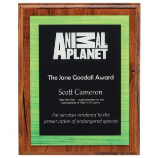 250MM Vivid Plaque - Green from $47.34
