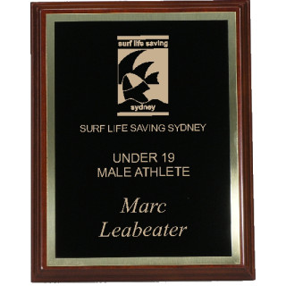 Brass/Black Plate on Timber from $37.86