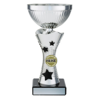 Wayfinder Cups - Silver or Gold from $13.75