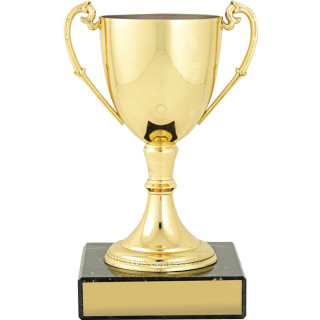 Nickel Plated Gold Cup from $26.99