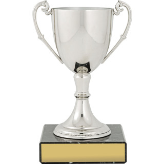 Nickel Plated Silver Cup from $24.62