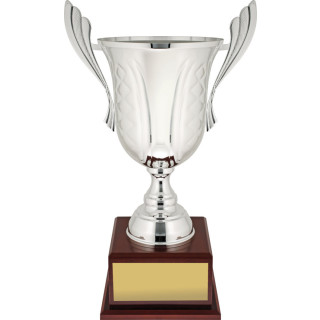 Celebration Silver from $225.24