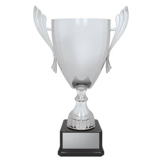 Ironside Cup - Silver