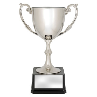 Recognition Cups