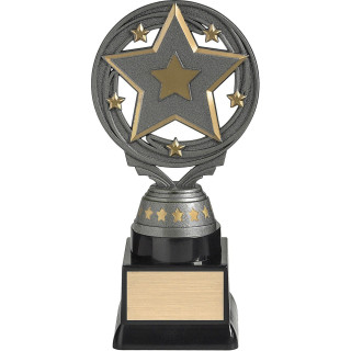 Star Torch Silver from $6.90