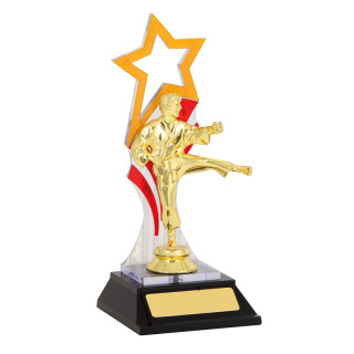 Karate Kick with Star From $9.49