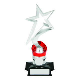 Silver Star with Red Collar from $12.99