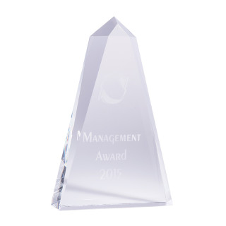 Infiniti Crystal - Prism from $90.61