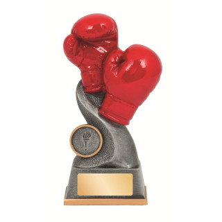 Boxing - Gloves/25mm Insert from $16.31