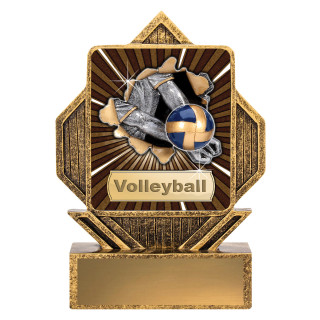 130MM Lynx Arrow - Volleyball from $9.91