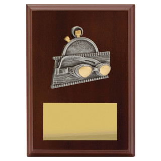 Plaque - Peak Swim from $11.99