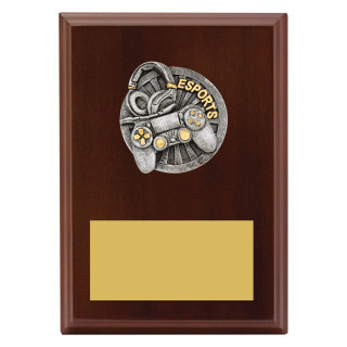 Plaque - Peak Esports from $12.58