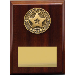 175MM Coach Award Plaque from $13.18