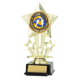 180MM Icon Star Netball from $8.75