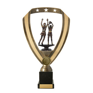 Dual Player Netball from $13.44