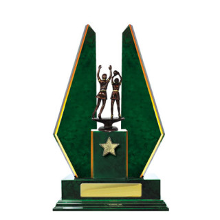 Double Wing Timber Netball from $40.95