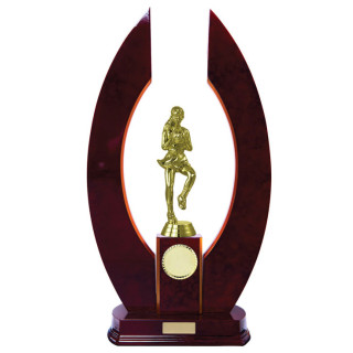 Horseshoe Timber Netball from $53.34