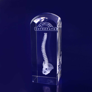 Crystal Rectangle Dome M