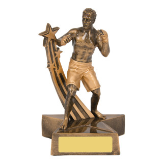 Fighting Stance from $16.28