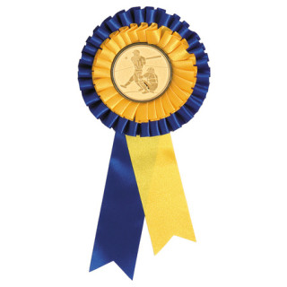  120 x 250mm Dual Rosettes from $7.20