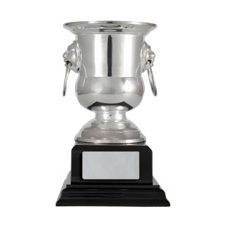 125MM Silver Plated Ringed Handle Cup from $37.97