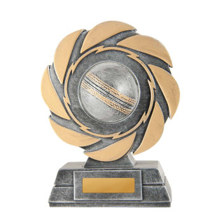 Windmill 2D Cricket Ball from $9.75