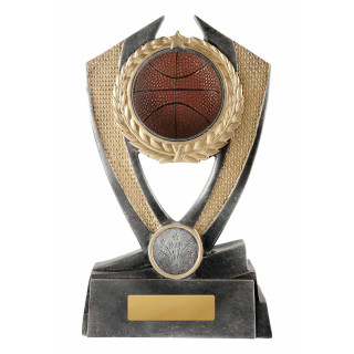 Hero Shield 3D Basketball Ball from $9.38