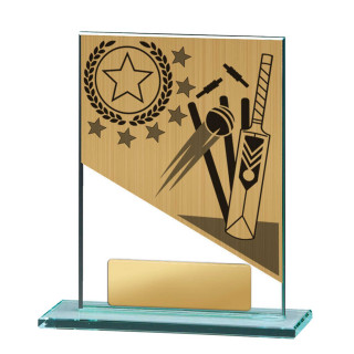 Cricket Theme on Glass from $13.98