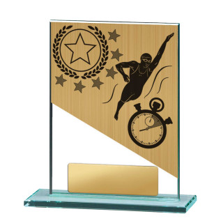 Swimming Theme on Glass from $13.98