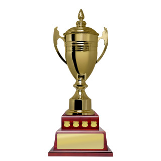 550mm Gold Crown Cup from $134.37