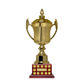 650mm Gold Finish Stan Cup from $169.40