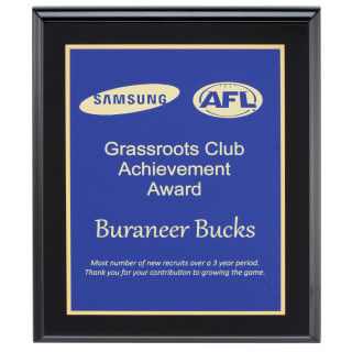 Designer Plaques - Blue from $50.50