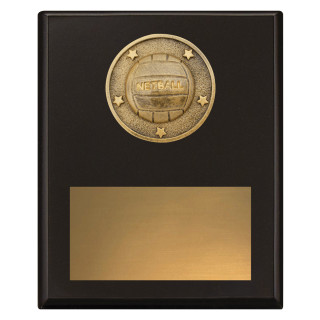 Challenge Plaque - Netball from $9.91