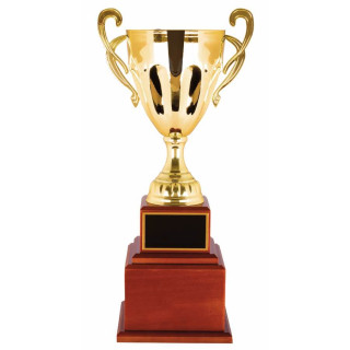 Perpetual Cup - Gold or Silver from $107.34