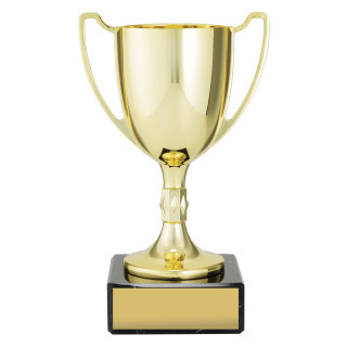 Cast Cup - Gold from $23.77