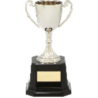 Silver Nickel Plated Cups From $81.29