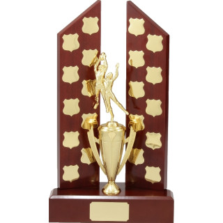 Twin Post Perpetual / Cup - 21 Shields 360mm