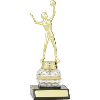 210mm Male or Female Volleyball on Clear Ball