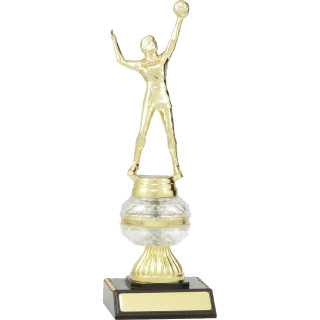 240mm Male or Female Volleyball on Clear Ball