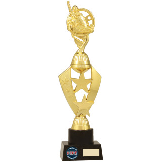 Go Kart Star Series from $11.45