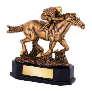 Horse - Racehorse - Single