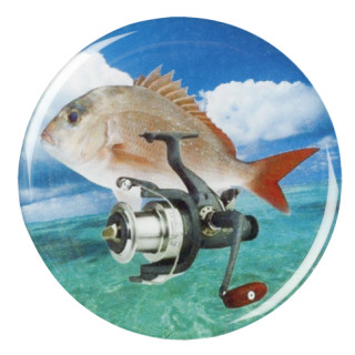 Fishing reel and fish