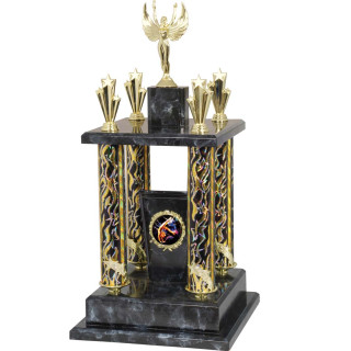 Achievement Perpetual & Post Trophy 540mm