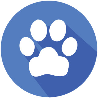 Pets Paw Print