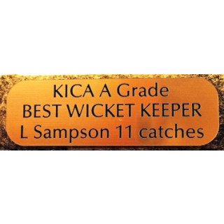 Trophy Plates Rounded or Square Corners